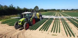 arland-expert-morbihan