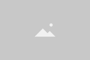 no image scaled